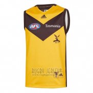 Hawthorn Hawks AFL Guernsey 2020 Clash