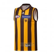 Hawthorn Hawks AFL Guernsey 2021 Home