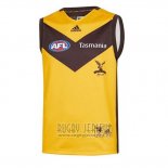 Hawthorn Hawks AFL Guernsey 2019 Yellow