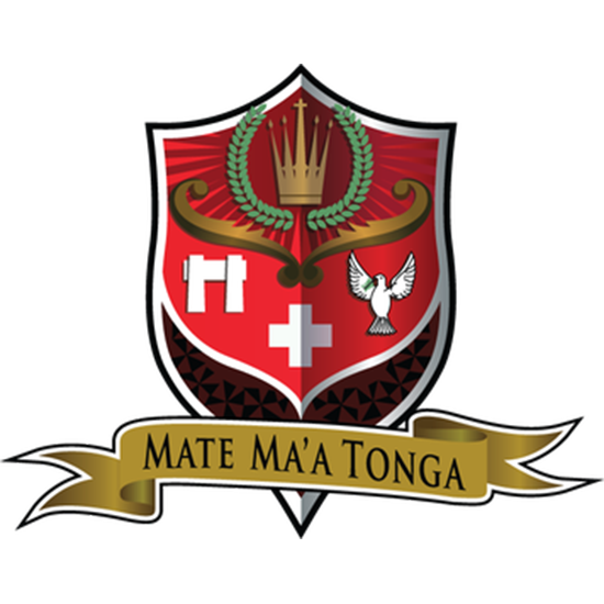 Cheap Tonga rugby Jersey